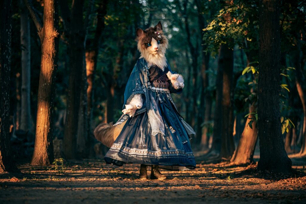 53444405329_00144af760_o (大)