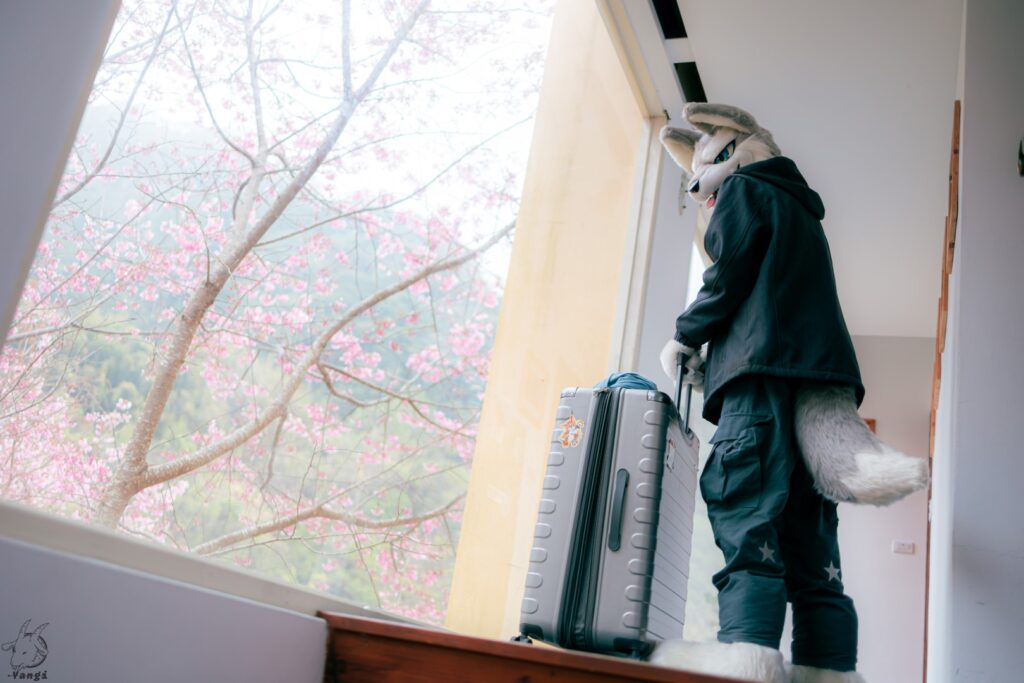 53448877954_3d6fbef88d_o (大)