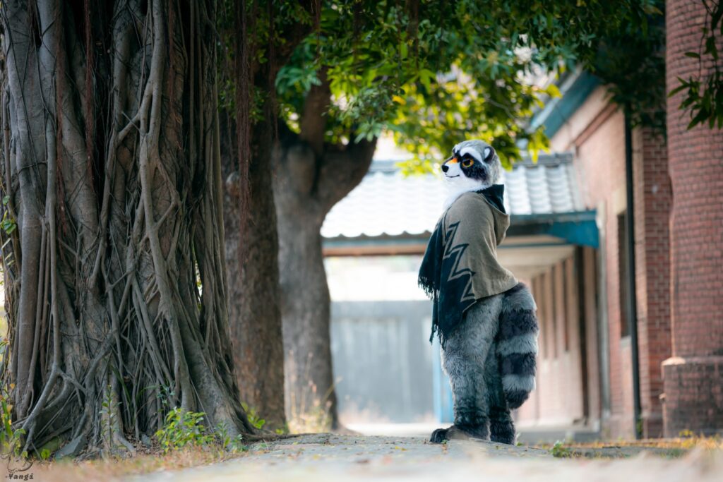 53450590141_38a481d7cb_o (大)