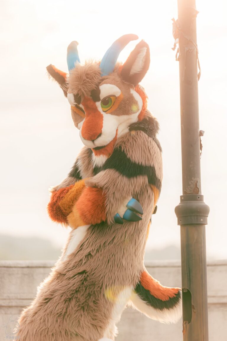 53452197497_972d504b55_o