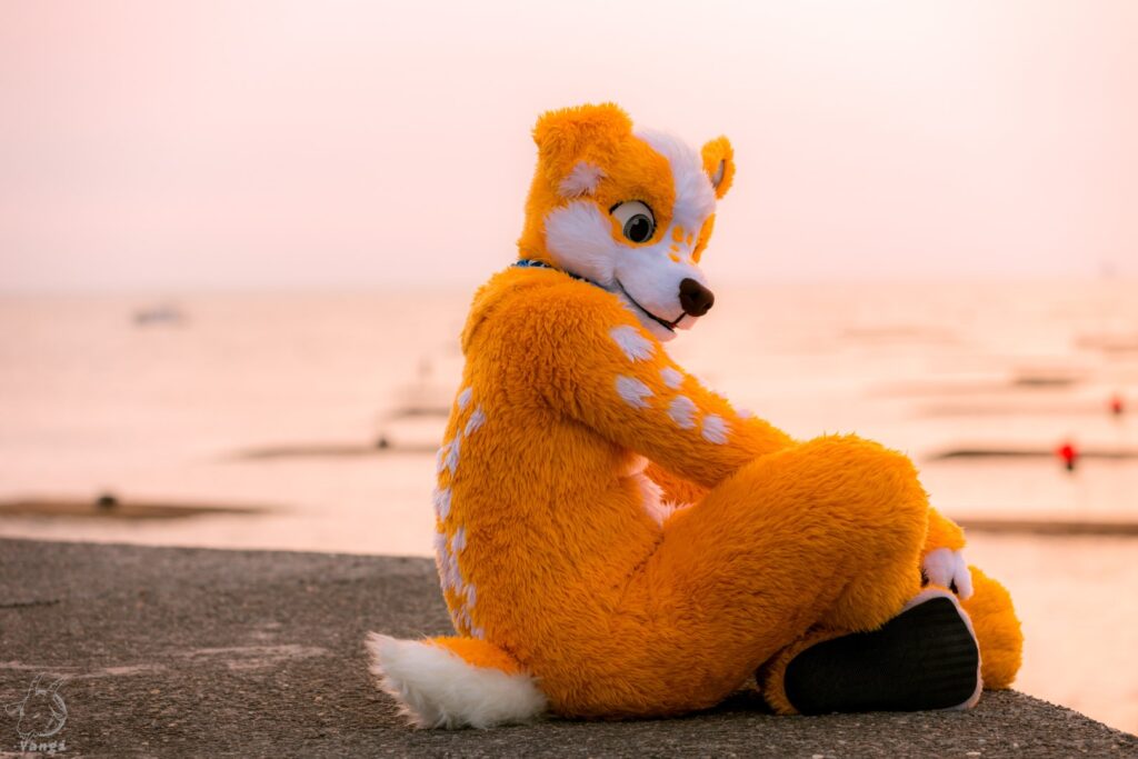 53452370052_172653cf5a_o (大)