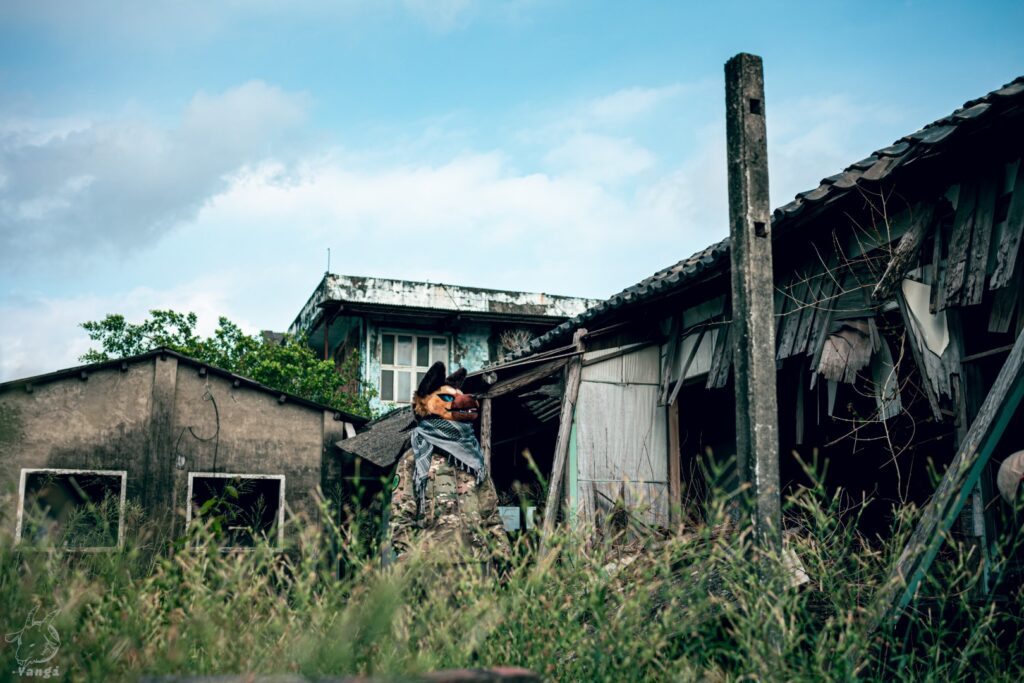 53462588450_fdbd74f72a_o (大)